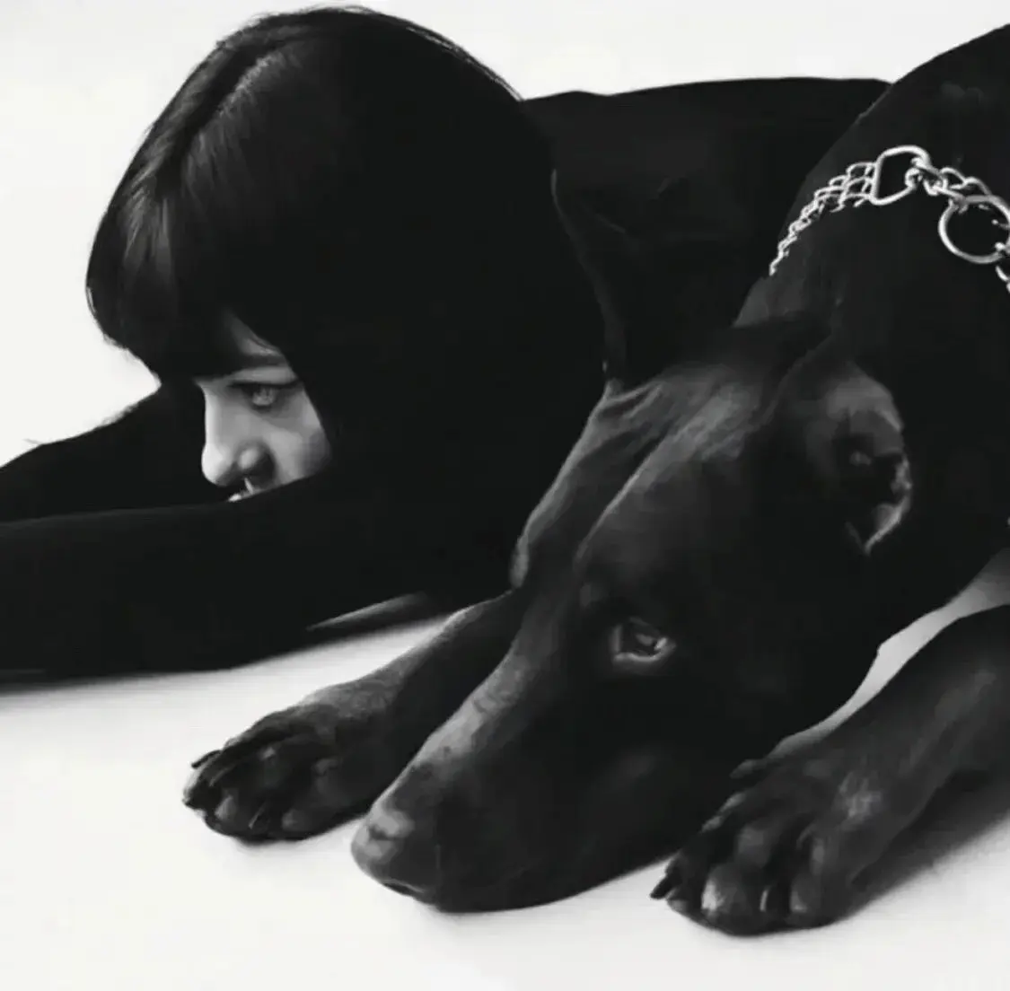 西檬之家BDSM入圈新手必看,如何安全而顺利地踏入字母圈世界? 一