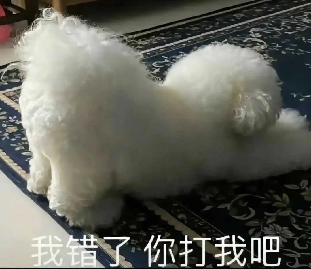 西檬之家sp小圈是什么?探索你的字母圈新领域 一