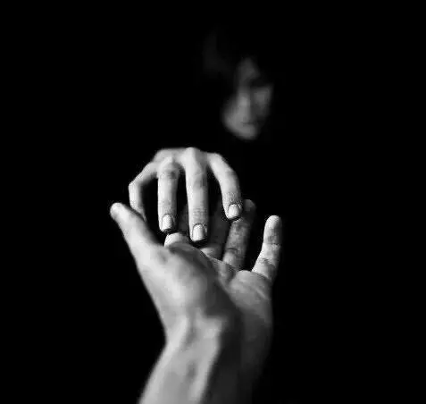 西檬之家k9是什么?揭秘字母圈中的神秘角色与实践 一