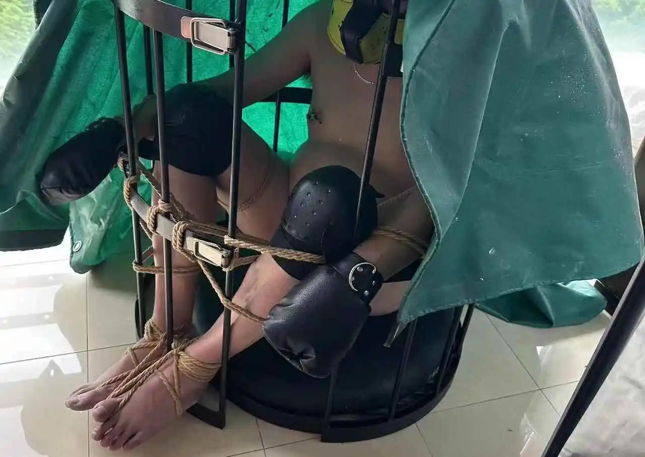 西檬之家k8猫系是什么?字母圈新手必知的秘密解析 一