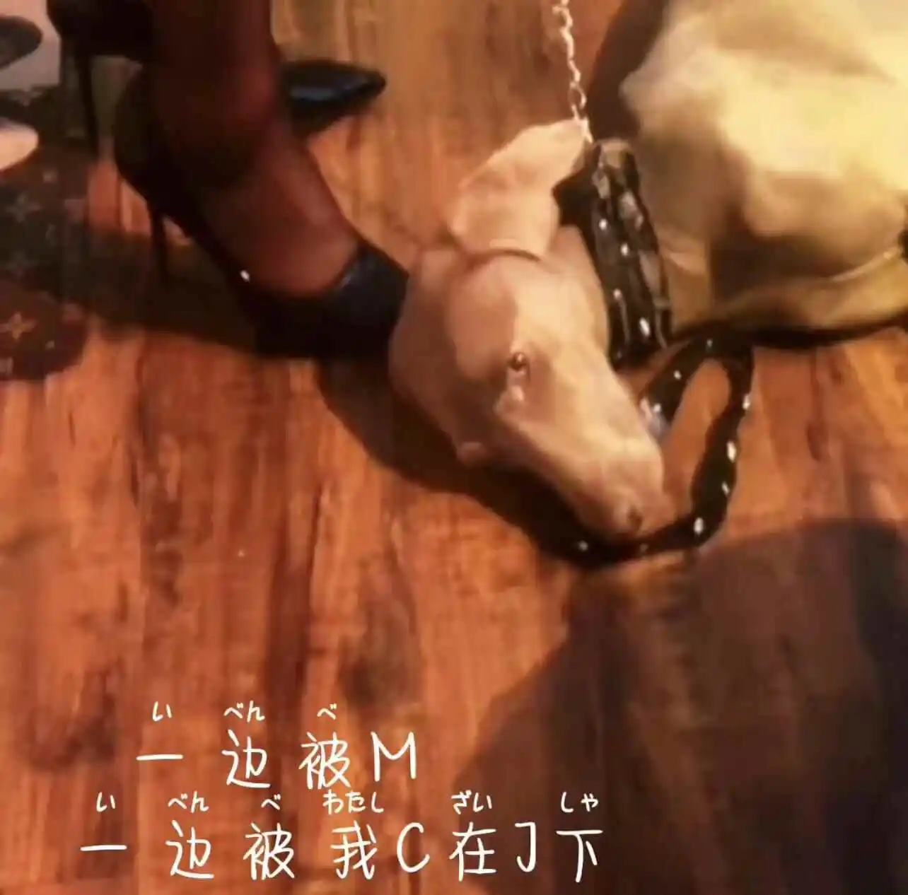 西檬之家管教究竟是什么?探索你的BDSM兴趣与界限 一