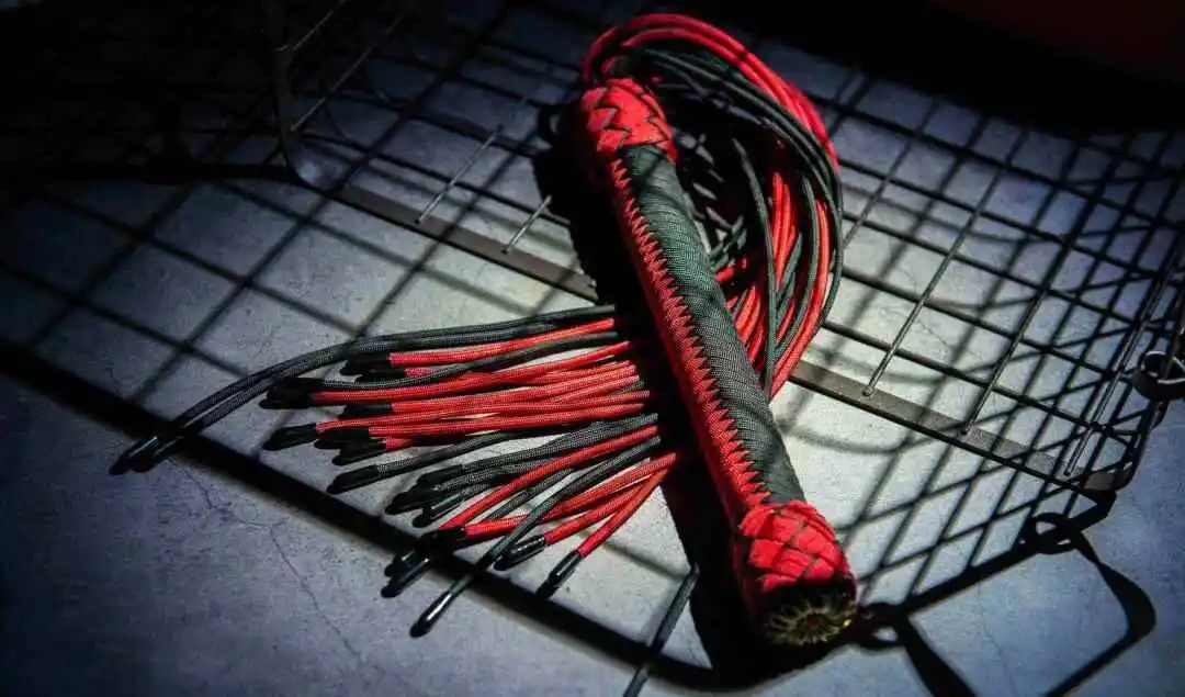 西檬之家字母圈入门指南:你需要了解的基础知识与关键术语是什么? 一