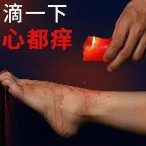 西檬之家brat属性是什么?字母圈新人需要了解的基本概念 一