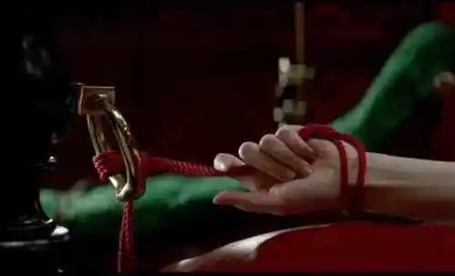 西檬之家字母圈switch是什么?解锁你的多重角色体验 一