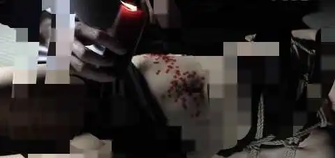 西檬之家如何顺利入圈字母圈?新手必看指南! 一