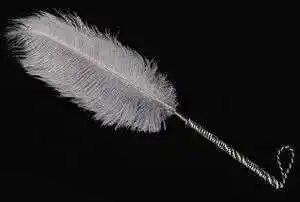 西檬之家ddlg是什么?解密字母圈中的亲密关系秘密 一