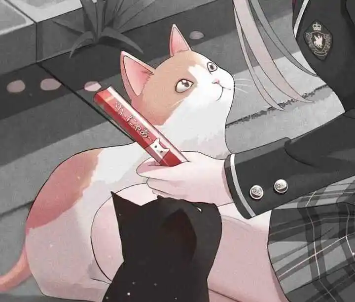 西檬之家DS关系如何建立信任?字母圈新人必看指南 一