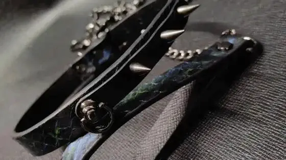 西檬之家探秘sp小圈:2025年我们对其理解的最新变化 一