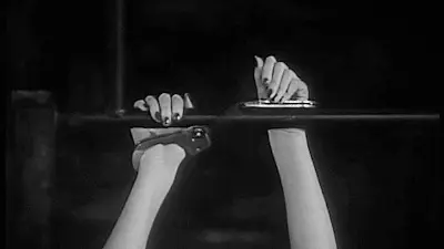 西檬之家sp小圈的秘诀是什么?新人如何轻松融入其中? 一