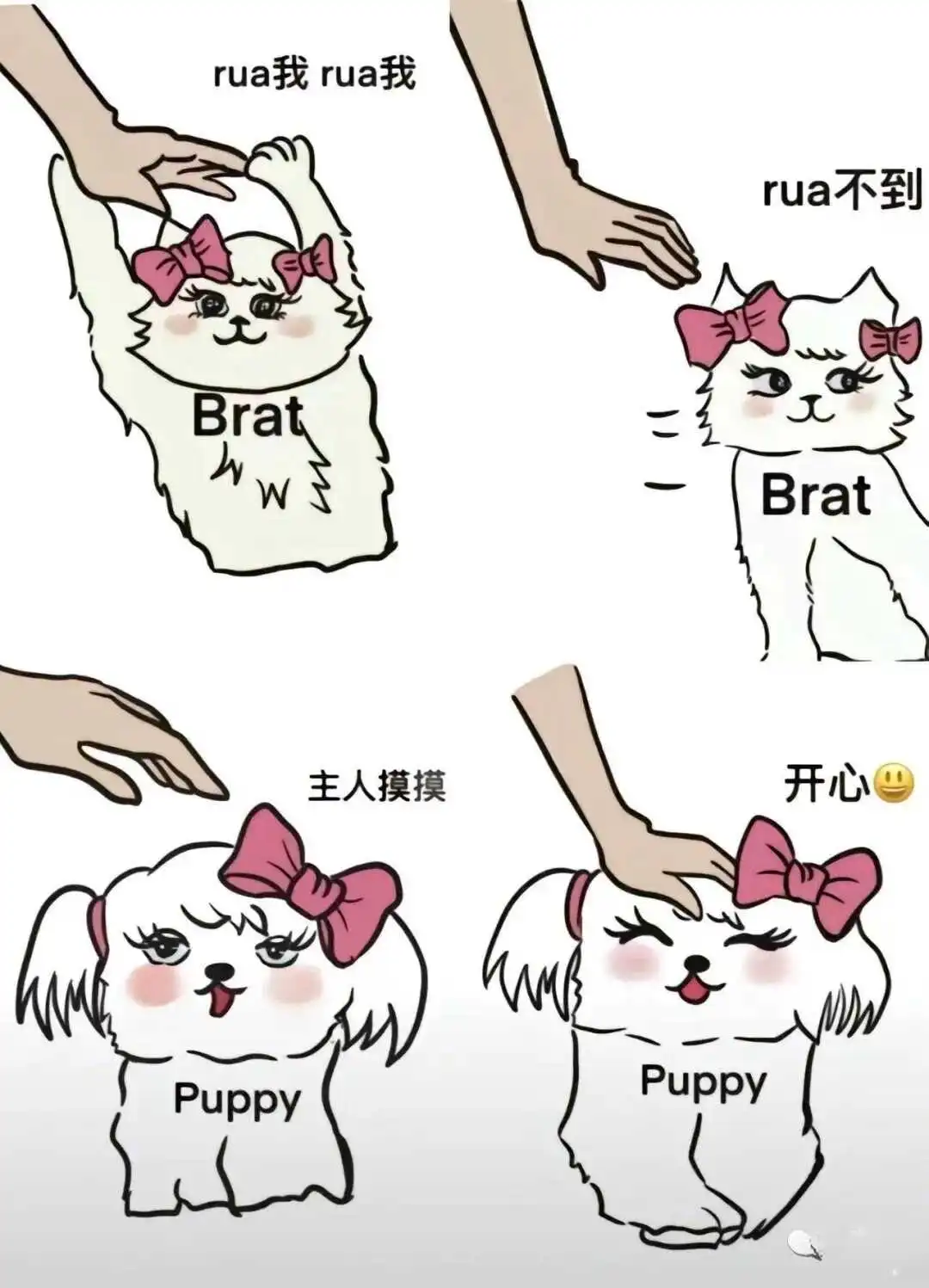 西檬之家字母圈新人如何入圈? 一