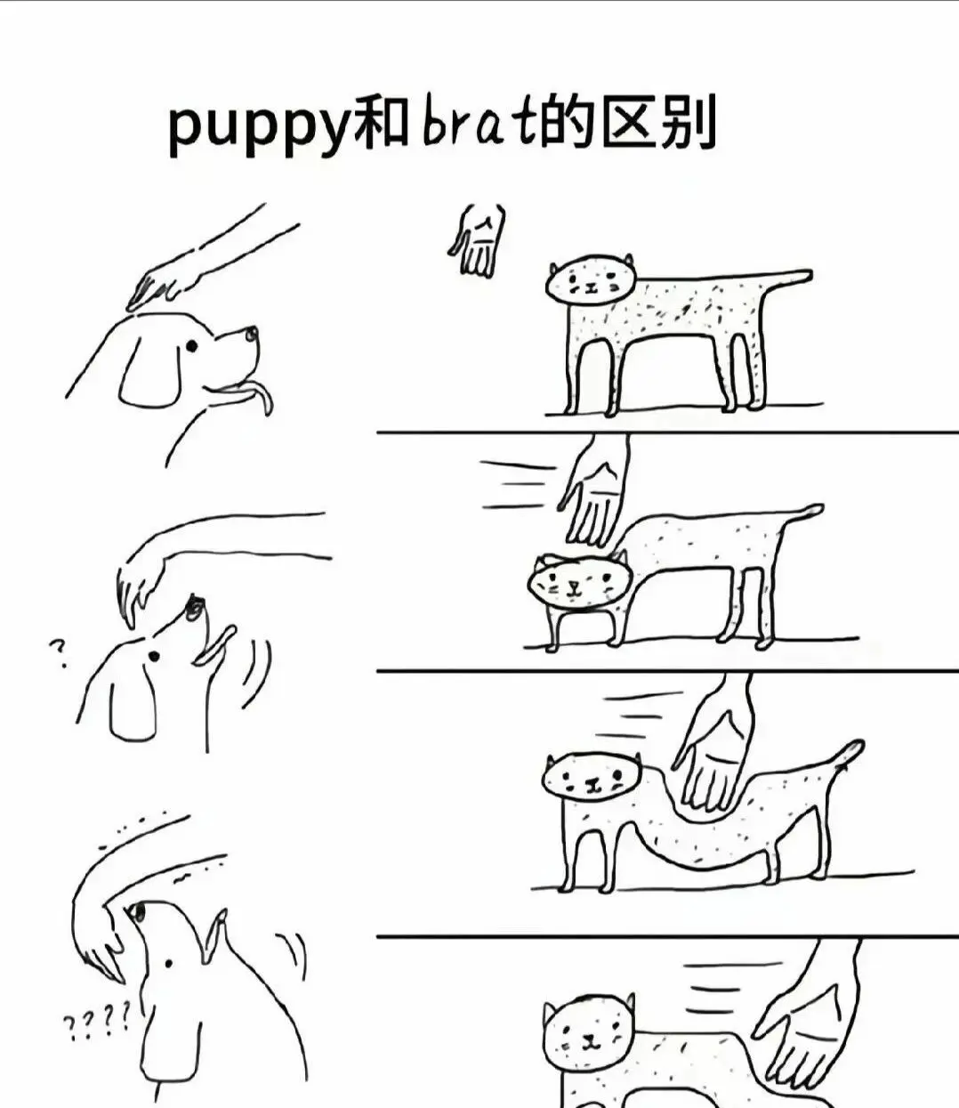西檬之家圣水是什么?字母圈新人必知 一
