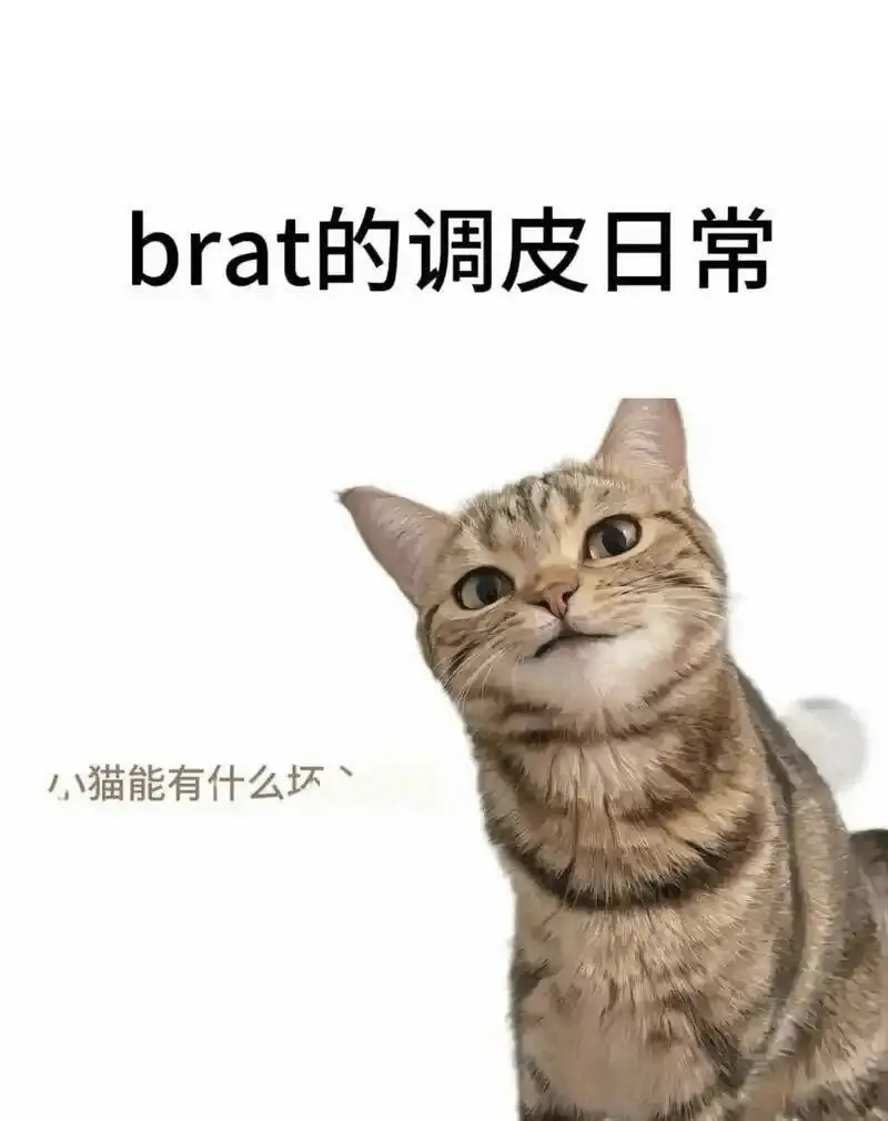 西檬之家spank是什么?字母圈新手入门指南 一