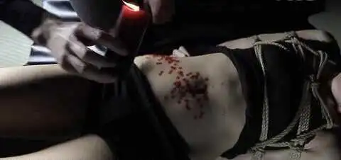 西檬之家字母圈安全词如何设置? 一