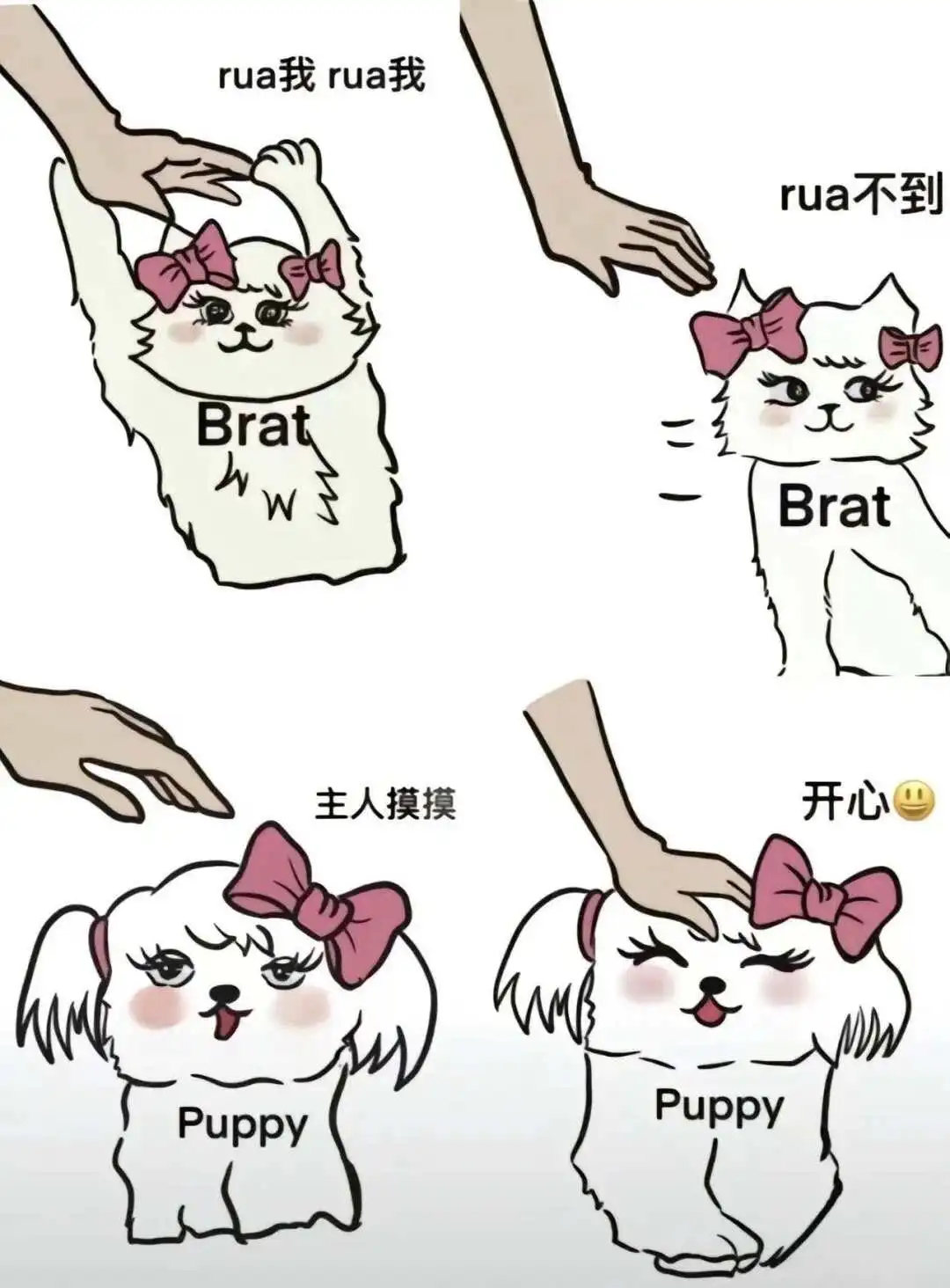 西檬之家ds关系怎么玩?字母圈新人入圈 一