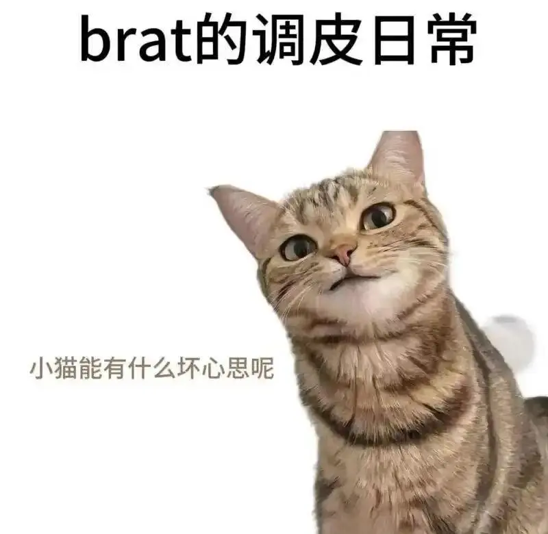 西檬之家字母圈的大圈是什么? 一