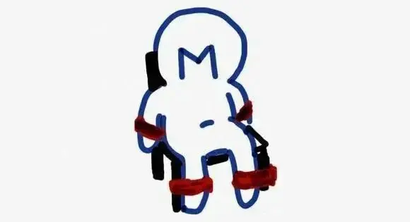 西檬之家字母圈入圈指南是什么? 一